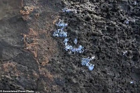 Vědci působící na portugalském souostroví Madeira tvrdí, že v moři našli nový typ umělohmotných nečistot, takzvané plastikové krusty.