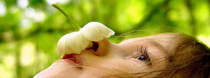 Dívka s květinou Foto: talkingplant / Flickr.com