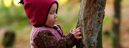 Holčička zkoumá kmen stromu Foto: Ernst Vikne / Flickr