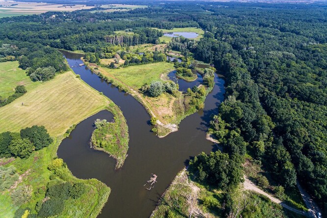 Nový meandr řeky Dyje u Rabensburgu.