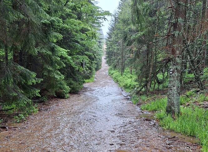 Ilustrační foto Ilustrační foto