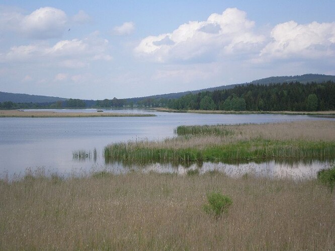 Dolejší Padrťský rybník v Brdech. Vpravo v pozadí vrch Kočka (789 m)