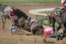Kůň s růžovou maskou se zvedá a odbíhá v protisměru závodu pryč. V pozadí je vidět zlomená noha bílého koně.