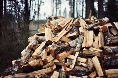 Těžba dřeva v českých lesích loni stoupla o desetinu na rekordních 19,4 milionu metrů krychlových. Pokořila tak rekord z roku 2007, kdy lesníci likvidovali dřevo poničené orkánem Kyrill. / Ilustrační foto