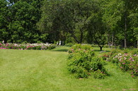 Průhonická botanická zahrada