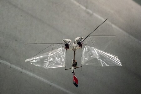 Český vědec Matěj Karásek působící na Technické univerzitě v nizozemském Delftu je hlavním konstruktérem létajícího robota, který umí napodobit mávání křídel hmyzu.