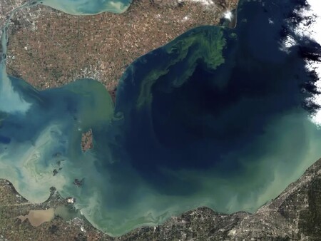 Pohnojení oceánů by mohutně stimulovalo růst řas, které by v přímé reakci absorbovaly oxid uhličitý z atmosféry. Stejně jako stromy, jen v čase násobně kratším. Někteří vědci ale říkají, že hnojení oceánu by mohlo zničit jemné ekosystémy. / Na snímku je kvetoucí řasa v jezeře Erie.
