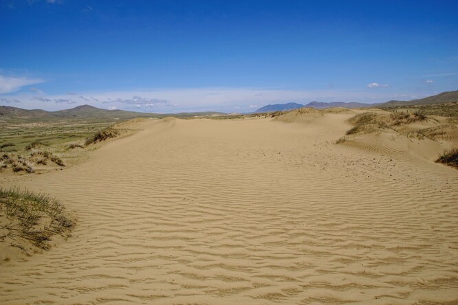 Písečná duna na začátku první vegetační sezóny po postavení plotu – pohled zpoza plotu. Holý písek může být snadno unášen větrem (květen 2023).