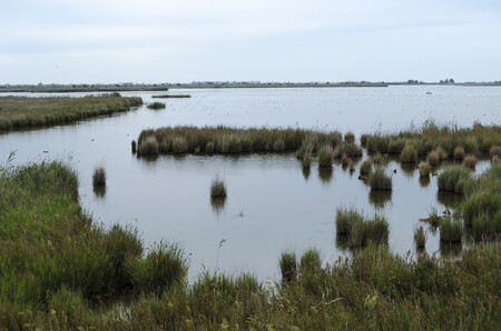 Podle ochránců životního prostředí plán centrální vlády zničí deltu řeky Ebro, která je národním parkem