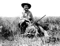 Ernest Hemingway s uloveným lvem, 1934