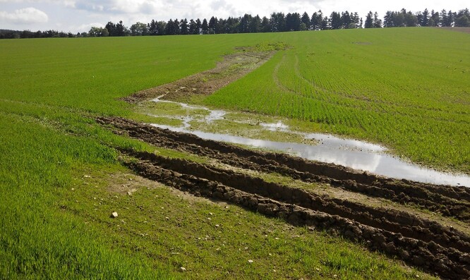 Tady začíná eroze. Tady začíná eroze.