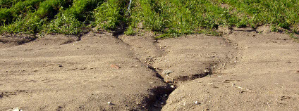 Eroze půdy u Přerova nad Labem podpořená nevhodnou orbou Foto: Petr Vilgus / Wikimedia Commons