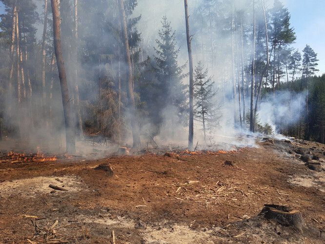 U Lukovečku na Zlínsku včera vypukl rozsáhlý požár lesa. / Ilustrační foto
