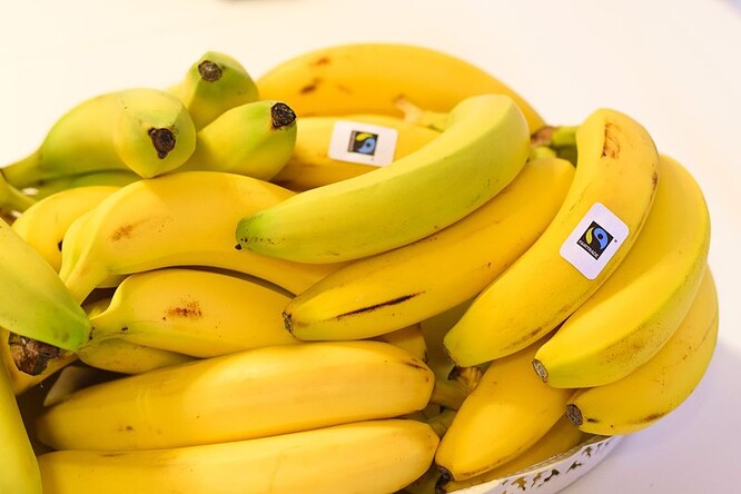 Například prodejní řetězce Velké Británie se dost nechvalně zapsaly tím, že eticky certifikované banány prodávaly více než čtyřikrát dráž než necertifikované. Za kilo žluté dobroty účtovaly v přepočtu 116 korun (oproti cca 40,- Kč za konvenční necertifikované), přičemž farmář z Dominikánské republiky je dodal prodejnímu řetězci za 18 korun.