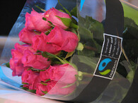 Růže s certifikátem Fairtrade