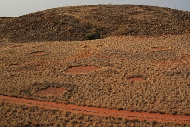 Záhadných kruhů, kterým místní přezdívají "vílí kruhy" je po pouštích jižní Afriky rozeseto na tisíce. Za vznikem na první pohled dokonalých obrazců podle více či méně uvěřitelných dohadů a teorií stáli kromě tvorů z jiných planet i pštrosi, jedovaté plyny či termiti.