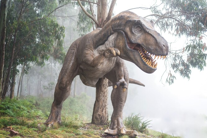 Gorgosaurus byl příbuzný obávaného Tyrannosaura rexe, byl ale rychlejší a měl silnější stisk čelistí. Ilustrační obrázek