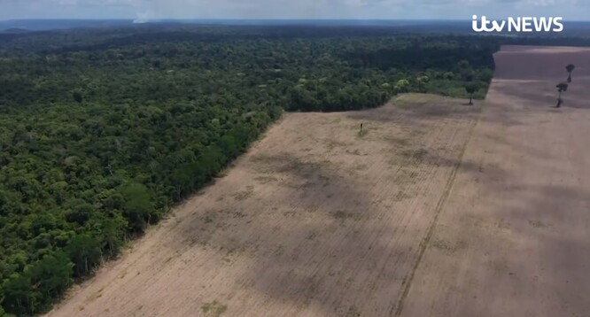 Odlesňování brazilské Amazonie dosáhlo v prvních čtyřech měsících tohoto roku nového vrcholu, od začátku ledna do konce dubna zmizelo 1202 kilometrů čtverečních lesa.