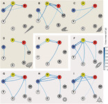 fig-1-networks-of-causal-relationships-between-abiotic-and-biotic-factors-for-nine-studied-taxa.webp