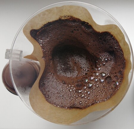 Kávová sedlina vydává v Ile-de-France slouží hlavní odpad z kaváren k pěstování hlívy ústřičné, která končí na talířích hostů týchž zařízení. / Ilustrační foto