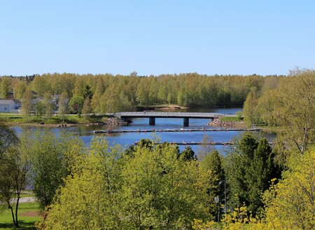 Finsko poeticky nazýváme Zemí tisíce jezer, ale poslední dvě desetiletí je to hlavně země tisíců hospodářských lesů. / Ilustrační foto
