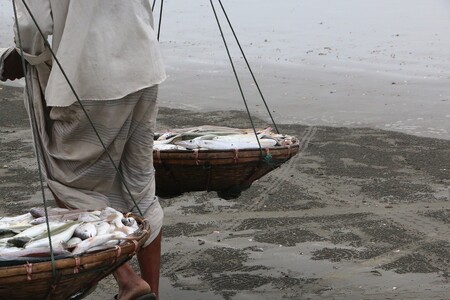 Zákaz, který platí od včerejška do 23. července, byl zaveden v době, kdy se ryby rozmnožují. Ministerstvo pro rybolov a hospodářská zvířata se obává, že zdroje ryb budou brzy vyčerpány. / Ilustrační foto