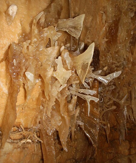 Heliktit, zvaný též excentrický krápník, je útvarem sekundární krasové výplně, který roste jakoby proti zákonům gravitace. Na obrázku vzácný heliktit ve tvaru rybího ocasu v jeskyních v Sonoře v Texasu.