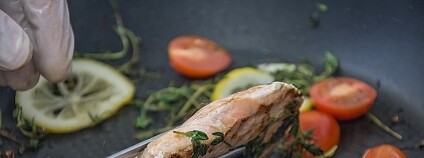 foto: Anestiev / Pixabay foto: Anestiev / Pixabay