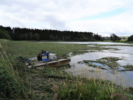 V tento okamžik je již většina rákosin na rybníce posečených a probíhá jejich vyklízení na břeh.
