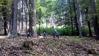 Společný lesnický projekt Lesů ČR a Hnutí Duha