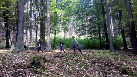 Dobrovolníci tento týden v režii státních lesníků opravují, stavějí i bourají lesní oplocenky v Českém ráji.