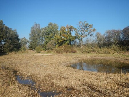 Projekt k podpoře populací kuňky ohnivé uskutečňuje kraj v přírodní památce Cihelenské rybníky a v přírodní památce Manušické rybníky.