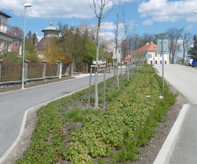 Dešťová voda má šanci zasáknout (obr. 3) Dešťová voda má šanci zasáknout (obr. 3)