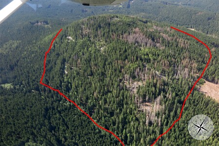Letecký pohled na PR Suchý vrch z jihovýchodu směrem na severozápad, červená linie označuje hranici PR, snímek byl pořízen dne 25. 7. 2019.