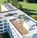 extenzivní střecha s rozchodníky ve společnosti fotovoltaických panelů