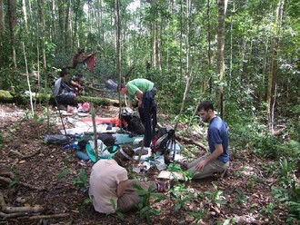 Tým biologů z přírodovědecké fakulty na Borneu.
