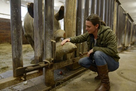 Režisérka filmu The Last Animals Kate Brooksová se samicí Nabiré, posledním nosorožcem severním bílým v Evropě, v ZOO Dvůr Králové před tím, než Nabiré v roce 2015 uhynula.