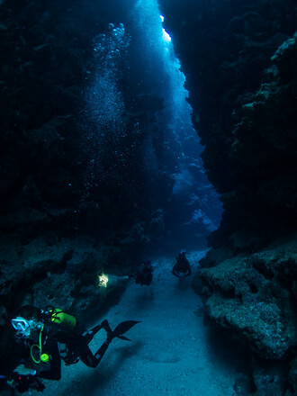 François Sarano při potápění. François Sarano při potápění.