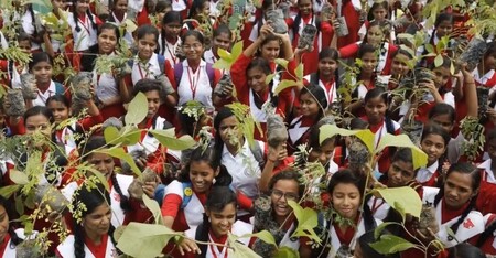 Více než milion Indů v pátek vysadil 220 milionů stromů v nejlidnatějším státě Uttarpradéš v rámci vládní akce proti klimatickým změnám a za zlepšení životního prostředí.