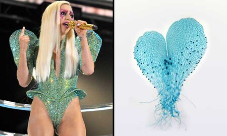 Kostým Lady Gaga je tvarem i barvou podobný bisexuální reprodukční fázi kapradin.