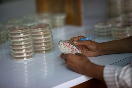 Genetické zdroje by měly být registrované. Ilustrační snímek Genetické zdroje by měly být registrované. Ilustrační snímek