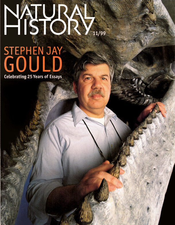 Stephen Jay Gould tři roky před smrtí v čelistech plesiosaura kronosaura na obálce Natural History při příležitosti čtvrtstoletí psaní esejů pro tento časopis