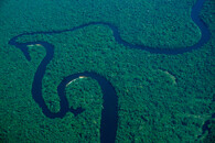 Amazonský prales