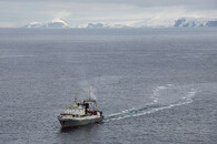 Krilské rybářské lodě na Antarktidě