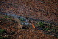 vypálený Amazonský prales