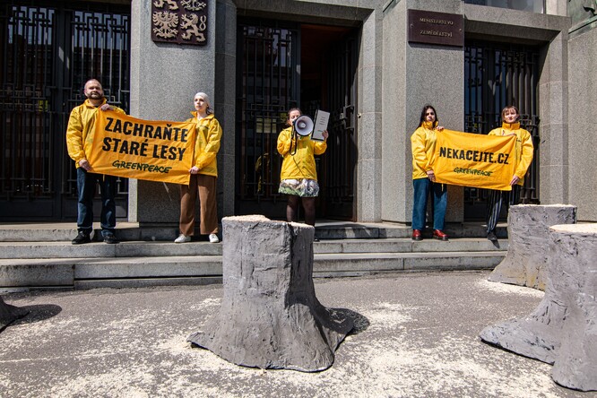 Dnešní happening byl součástí kampaně Nekácejte.cz, kterou Greenpeace spustilo minulý týden. Lidé mohou u této příležitosti podepsat výzvu, která bojuje za větší ochranu starých lesů.