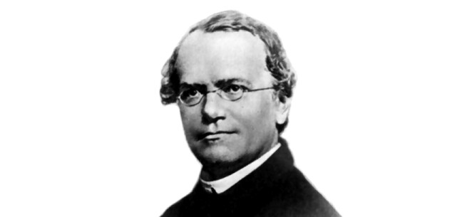 Johann Gregor Mendel je považován za zakladatele nauky o dědičnosti.