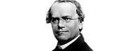 Zakladatel genetiky Gregor Johannes Mendel