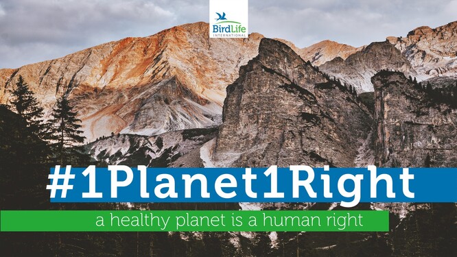 Mezinárodní společenství ochranářských organizací BirdLife International vyzvalo OSN, aby do třicetičlánkové Všeobecné deklarace lidských práv přidala "článek 31", a tím zakotvila právo lidí na zdravé životní prostředí.