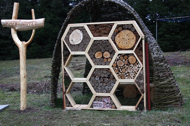 Hmyzí hotel v Pavlově Hmyzí hotel v Pavlově